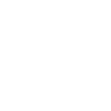 Nexus Immigration logo