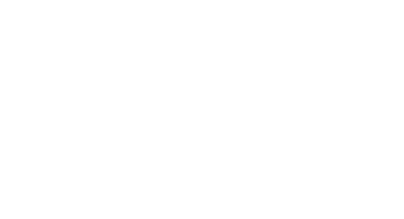 RE/MAX Consultants logo